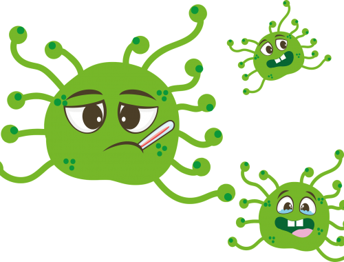 Coronavirus Nachhilfe Nachhilfestunden Nachhilfekurse Onlinenachhilfe Nachhilfe online